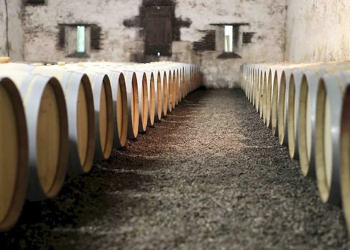 Chateau Les Farcies Du Pech 3* Bergerac